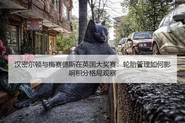 汉密尔顿与梅赛德斯在英国大奖赛：轮胎管理如何影响积分格局观察 - anbo sport